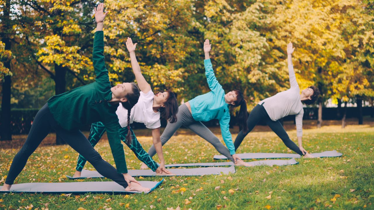 Mastering the First Impression: Your intriguing post title goes here A group of adults practicing yoga outdoors on a sunny autumn day.