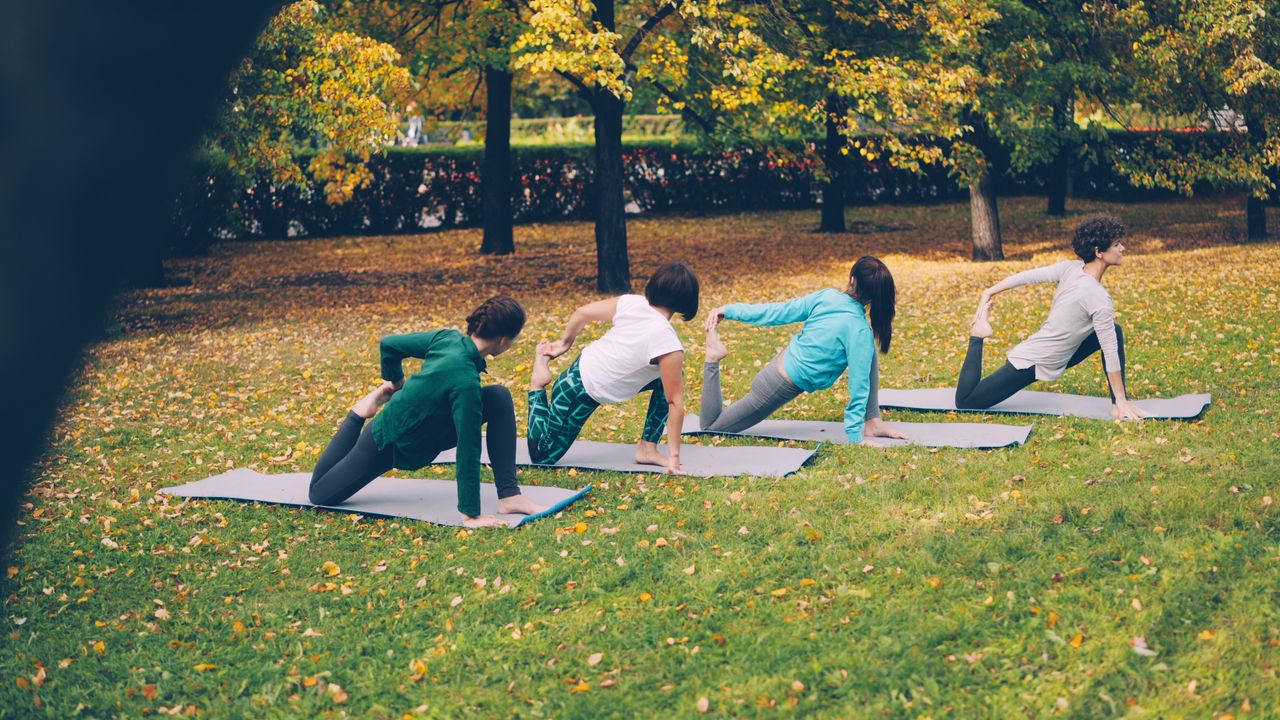 Menu Adults practicing yoga poses on mats outdoors in a park during autumn.
